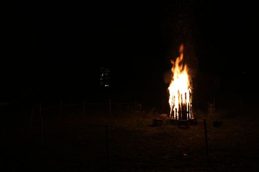 Fotos